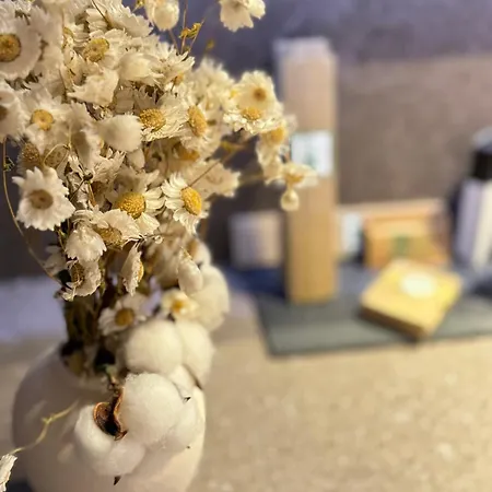 Hotel Acouga Boutique